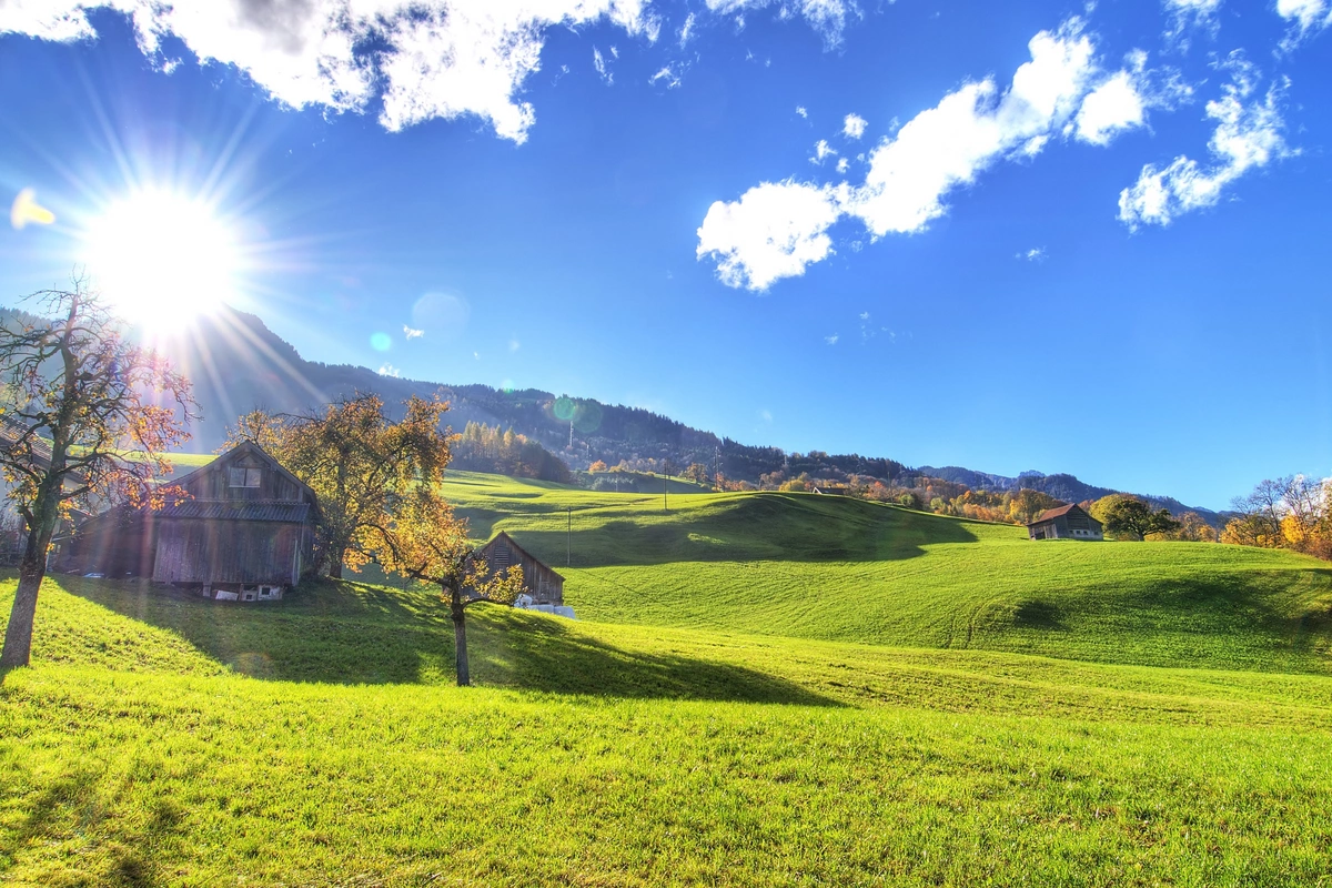 41 dərəcə isti olub - PROQNOZ