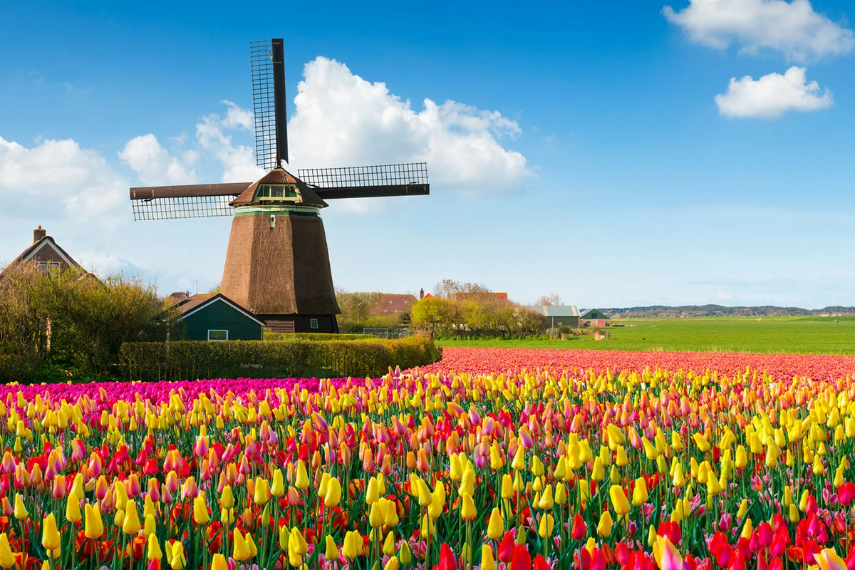8 mart günü Azərbaycanda 22° isti olacaq