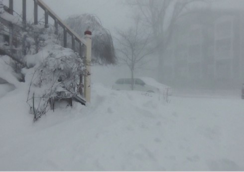 ABŞ-da qar fırtınasında ölənlərin sayı 15-ə çatıb