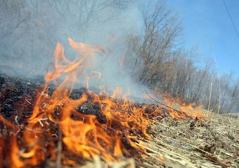 Şabranda mürəkkəb relyefli ərazidə baş vermiş yanğın tam söndürülüb