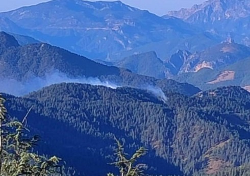 Adanada meşə yanğını başlayıb