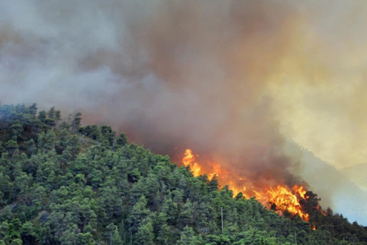 Ağdam və Füzulidə dağlıq ərazidəki yanğınlar FHN qüvvələri tərəfindən tam söndürülü