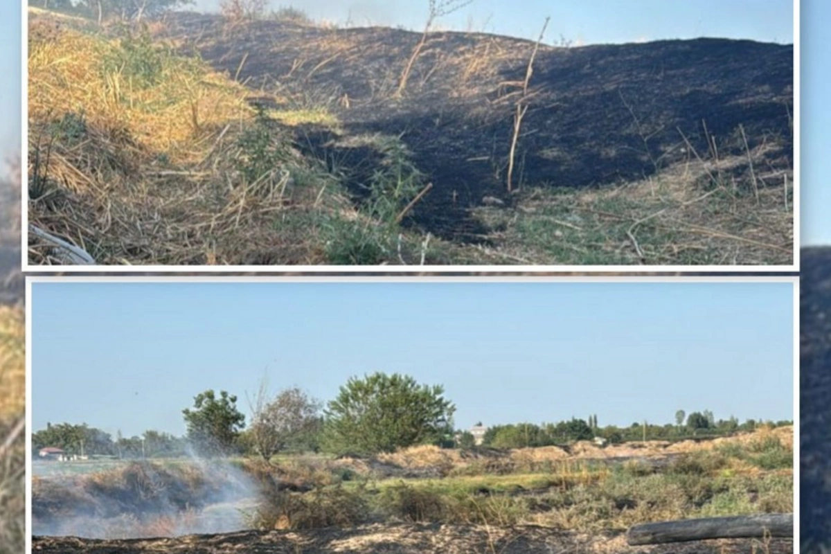 Ağdamda əkin sahəsində yanğın törətməkdə şübhəli bilinən şəxs saxlanılıb