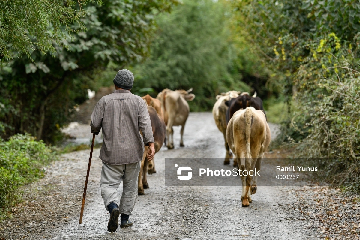 Ağdaşda çobanın meyiti tapıldı