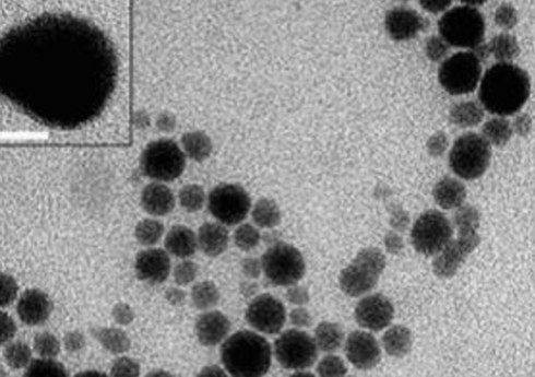 Alimlər melanomanın müalicəsi üçün gümüş plastr yaradıblar