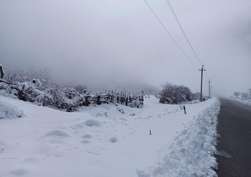 Altıağacda qar örtüyünün hündürlüyü 7 sm-ə çatıb - FAKTİKİ HAVA