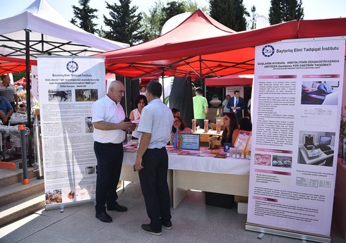 Şamaxıda növbəti toxum sərgi-satış yarmarkası keçirilib