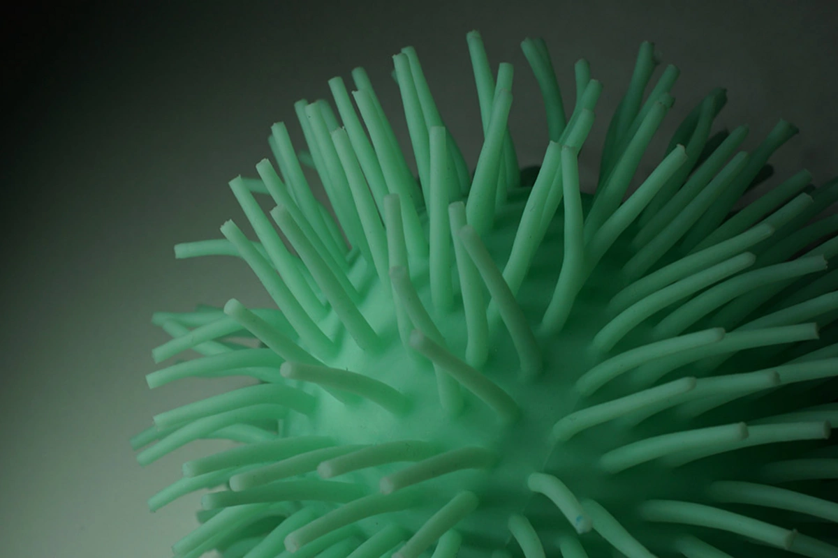 Amerikalı alimlər yeni koronavirusu gələcəyin fəlakəti adlandırdı