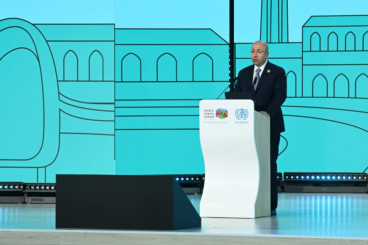 Anar Quliyev: 