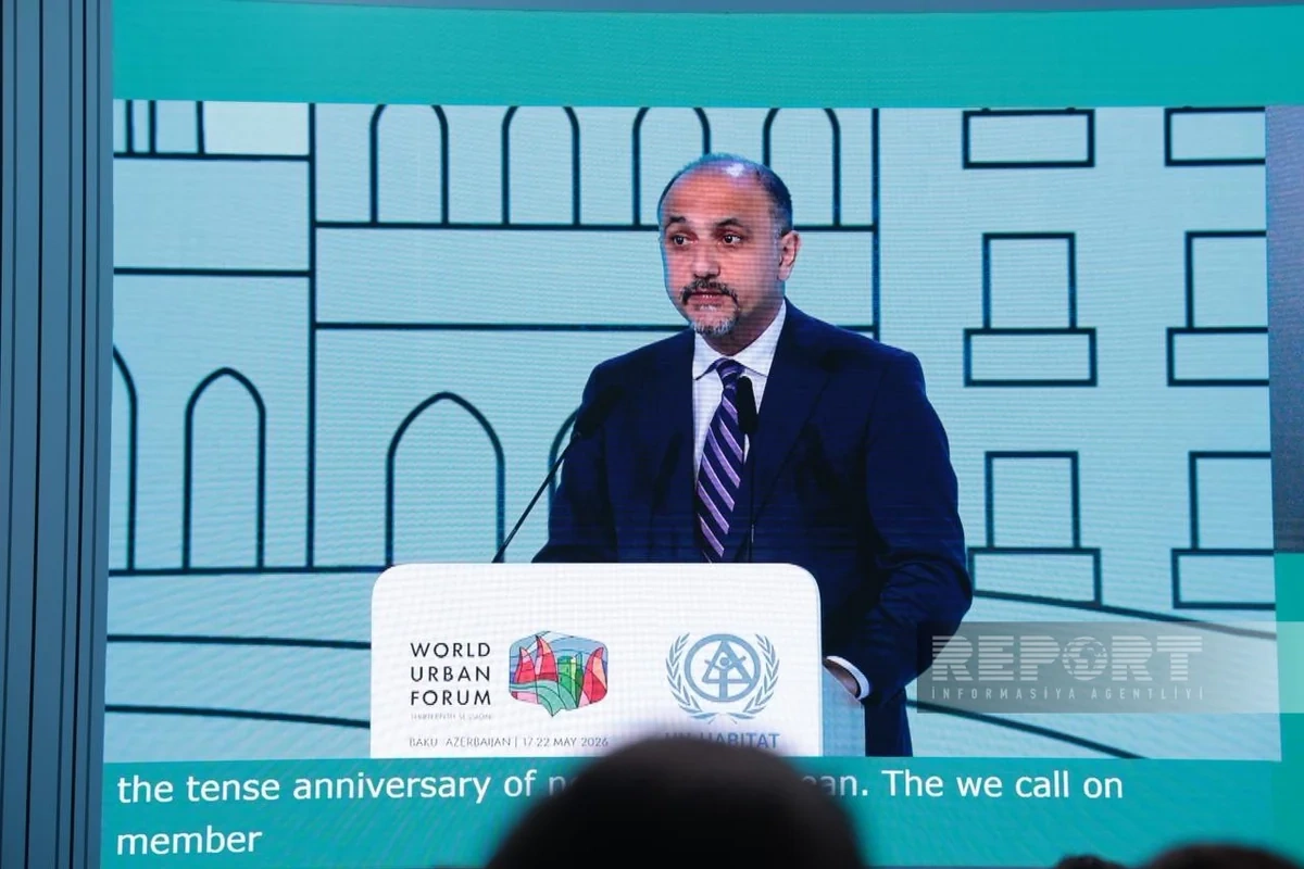 Anar Vəliyev: Mənzil hüququ insan hüququ kimi tanınmalı və prioritetləşdirilməlidir