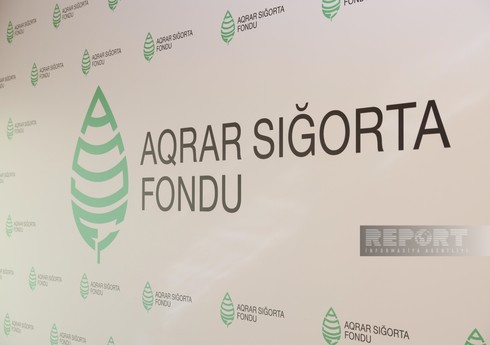 Aqrar Sığorta Fondu 10 aylıq nəticələri açıqlayıb