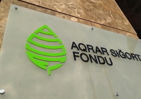 Aqrar Sığorta Fondu: “Güclü yağış və daşqınlardan zərər çəkən təsərrüfatlara kompensasiya veriləcək”