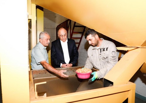 AQTA sədri fındıq emalı müəssisələrinin fəaliyyəti ilə tanış olub