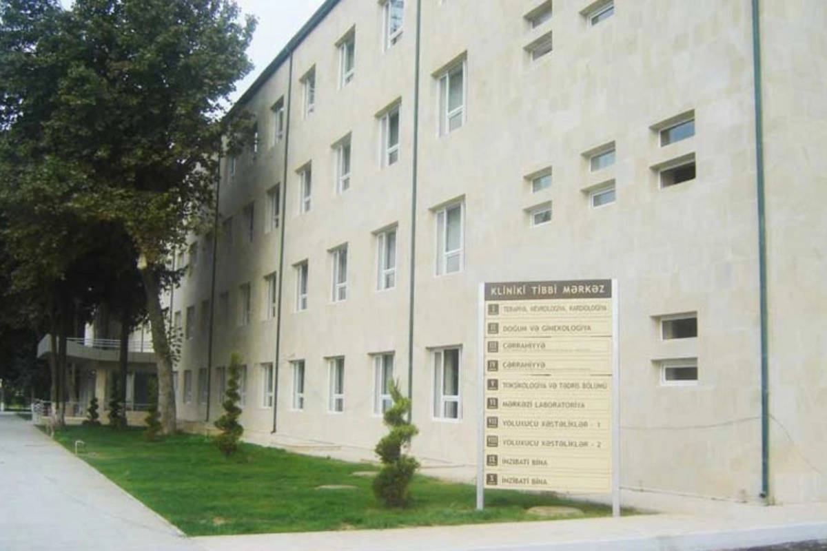Arı sancan qadın bir ay komada qalıb