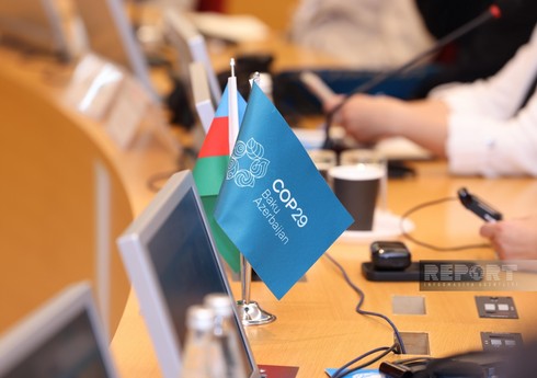 Atif Qəmbərov: COP29-da gənclərin iştirakı onların gələcək inkişafı baxımından son dərəcə vacibdir
