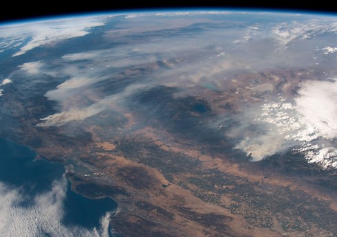 Avstraliyada yanğınlar 12 milyon hektardan çox meşə sahəsini məhv edib