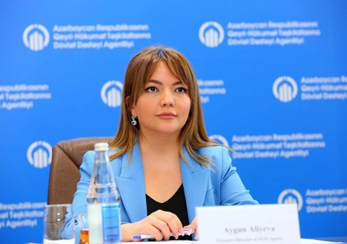 Aygün Əliyeva: Şərqi Zəngəzurun 