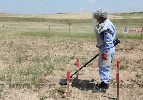 Azad edilmiş ərazilərdə ötən həftə 81 mina aşkarlanıb