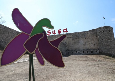 Azad edilmiş ərazilərin bərpaolunan enerji potensialı açıqlanıb