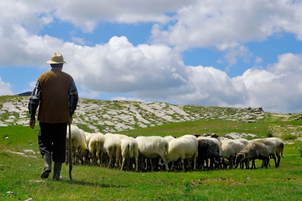 Azərbaycanlı çoban Ermənistan ərazisinə keçib
