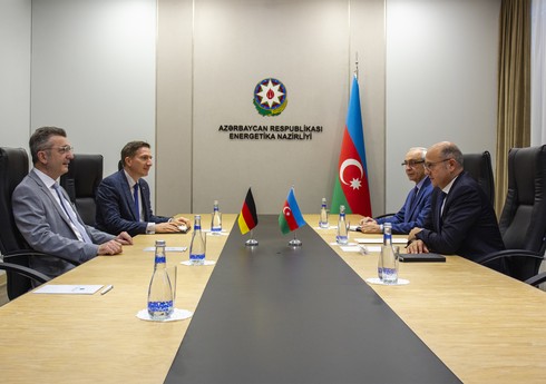 Azərbaycan Almaniya şirkətlərini bərpa olunan enerji layihələrində iştiraka dəvət edib