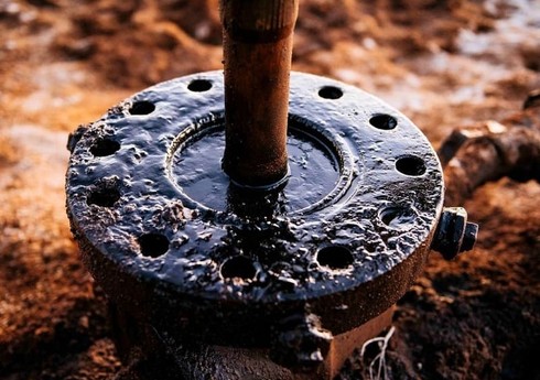 Azərbaycan neftinin qiyməti 82 dollardan aşağı düşüb