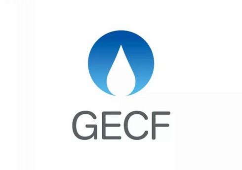 Azərbaycan Qahirədə keçirilən GECF-in Nazirlər toplantısında təmsil olunur