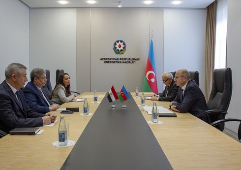 Azərbaycan Qarabağda “yaşıl enerji” layihələrində Misir şirkətlərinin iştirakını nəzərdən keçirir