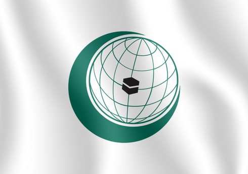 Azərbaycan İstanbulda İƏT ölkələrinin konfransında iştirak edəcək