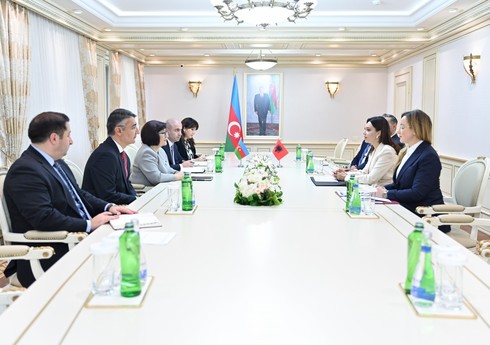 Azərbaycan və Albaniya parlamentləri arasında əməkdaşlığın gücləndirilməsi barədə müzakirələr aparılıb