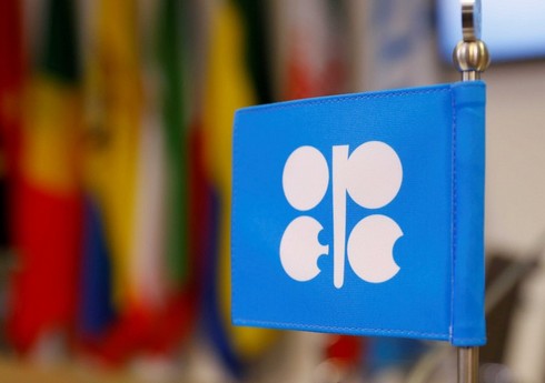 Azərbaycan və OPEC enerji tənzimləməsi üzrə əməkdaşlığı müzakirə edib