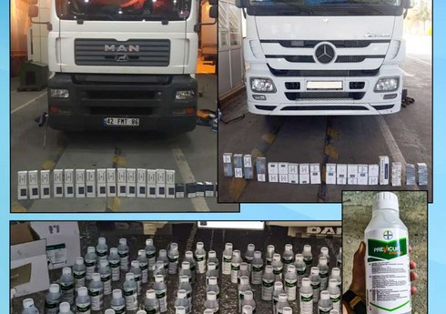 Azərbaycana qanunsuz siqaret və bitki dərmanı gətirilməsinin qarşısı alınıb