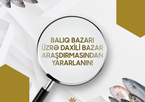 Azərbaycanda balıq bazarı ilə bağlı araşdırma aparılıb