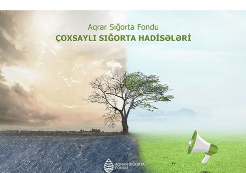 Azərbaycanda hava şəraiti ilə əlaqədar təsərrüfatlara dəymiş zərər hesablanır