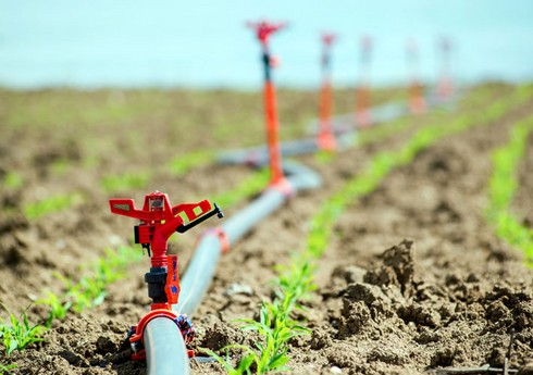 Azərbaycanda I yarımildə 25 kilometr suvarma məqsədli boru kəməri çəkilib