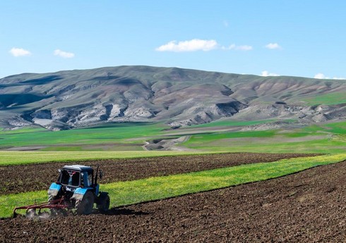 Azərbaycanda I yarımildə torpaqdan istifadəyə dair 3 mindən çox qanunsuz hal aşkarlanıb