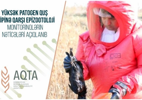 Azərbaycanda quş qripinə qarşı aparılan monitorinqlərin nəticələri açıqlanıb