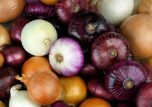 Azərbaycanda soğan ixracının məhdudlaşdırılmasının səbəbi açıqlanıb