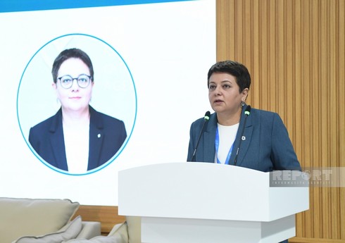 Azərbaycanda zoonoz xəstəliklərin qarşısının alınmasına dair strategiya hazırlanıb