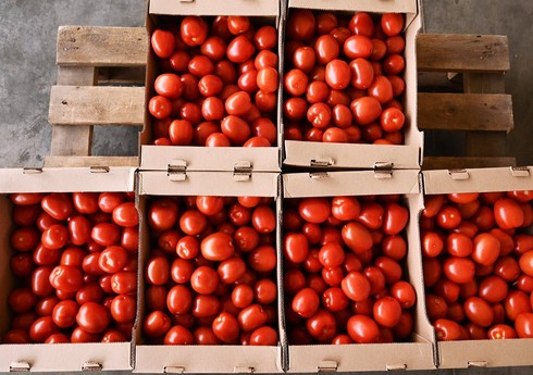 Azərbaycandan Rusiyaya göndərilmiş 61 ton bitki məhsulu sərhəddə saxlanılıb