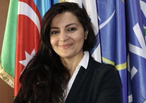 Azərbaycanlı federasiya rəsmisi avrokuboklara təyinat alıb