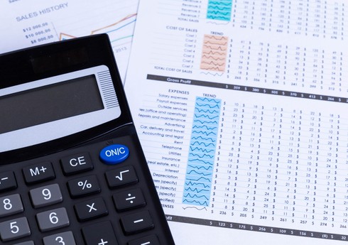 Azərbaycanın 13 investisiya şirkətinin məcmu aktivləri 18 % azalıb