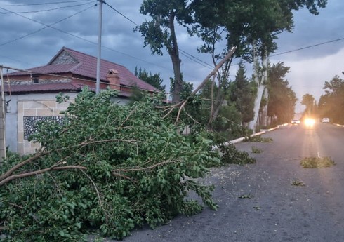 “Azərişıq”: Güclü küləyin vurduğu ziyan aradan qaldırılır