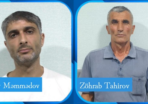 Bağ sahələrində narkotik tərkibli bitkilər yetişdirən Lerik sakinləri saxlanılıb