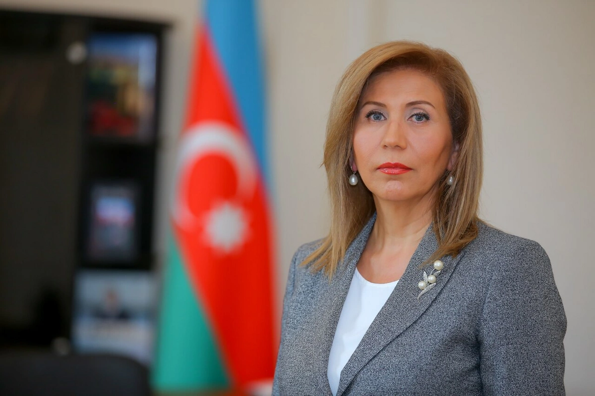 Bahar Muradova: Azərbaycanda doğum halları ilə bağlı vəziyyət kritik həddə deyil