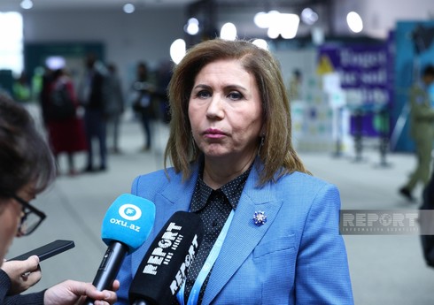 Bahar Muradova: Təbii fəlakətlər ölkələri tədbirlər görməyə vadar etməlidir