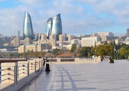 Bakı bulvarında kaktusların kəsilməsi ilə bağlı hüquq-mühafizə orqanlarına müraciət olunub