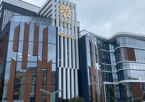 “Bakı KOB evi”ndə sahibkarlara xidmətlərin əksəriyyəti RİNN tərəfindən göstərilib