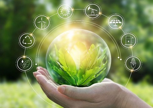 Bakıda SGC Məşvərət Şurasında 