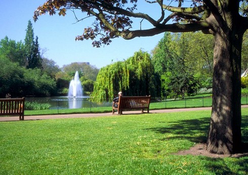 Bakıda yeni Yaşıl Park salınacaq